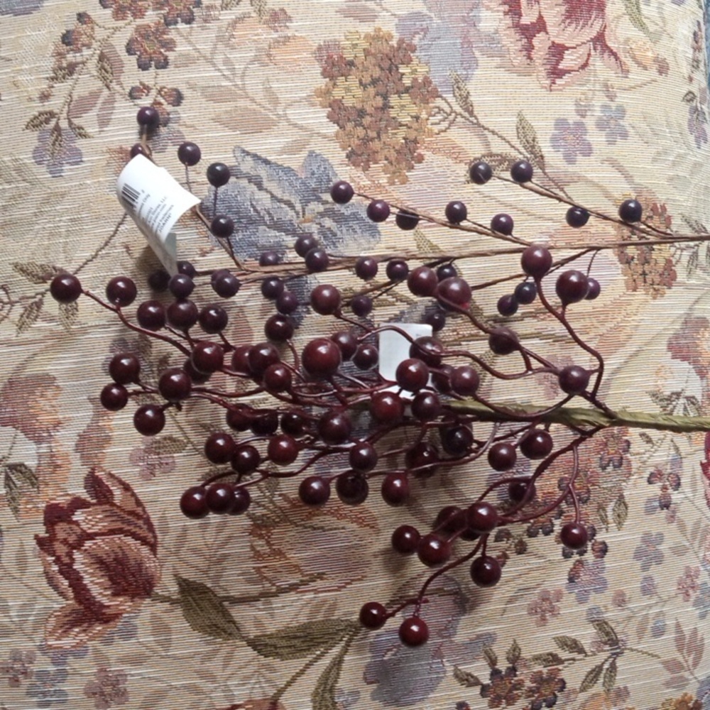 Berry stem